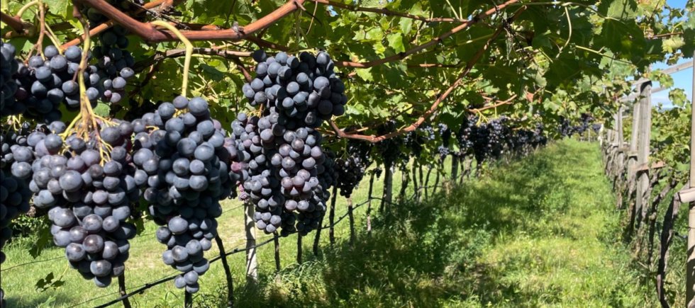 sonnige Herbsttage in Englar